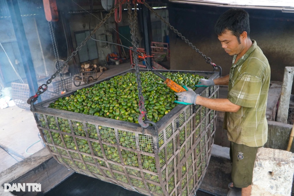 Giá cau tăng cao, chủ lò sấy kiếm trăm triệu đồng mỗi tháng