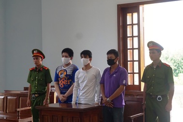 Tráo người đi khám trinh, 3 người đàn ông bị tuyên án tù