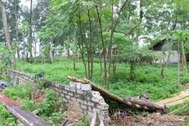 Kỷ luật hàng chục cán bộ sai phạm về đất đai