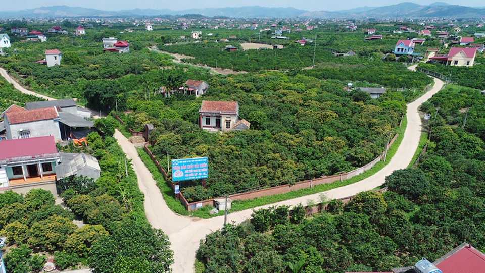 Bắc Giang minh bạch xử lý kết luận thanh tra tại dự án Trường bắn Quốc gia - 2 Bắc Giang minh bạch xử lý kết luận thanh tra tại dự án Trường bắn Quốc gia - 2