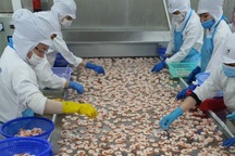 Một doanh nghiệp cam kết nhận 300 lao động vì câu nói "về quê rồi tính"