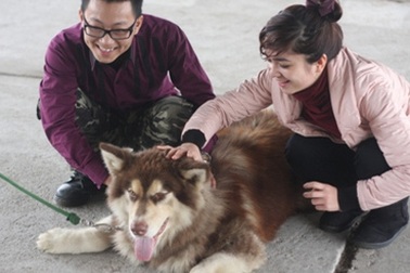 “Thiếu gia” Hà thành và thú chơi chó nghiệp vụ “khủng”