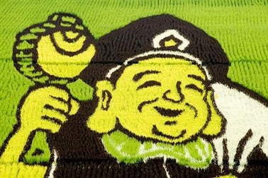 Những bức tranh độc đáo trên các cánh đồng lúa ở Nhật