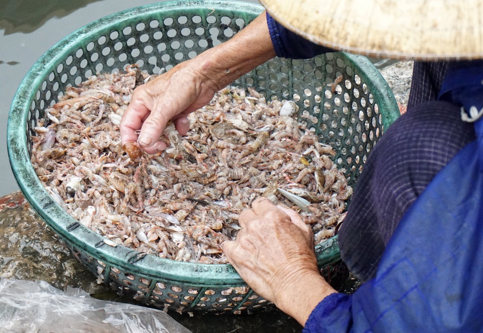 Phận già đãi vàng nơi cửa biển - 4 Phận già đãi vàng nơi cửa biển - 4