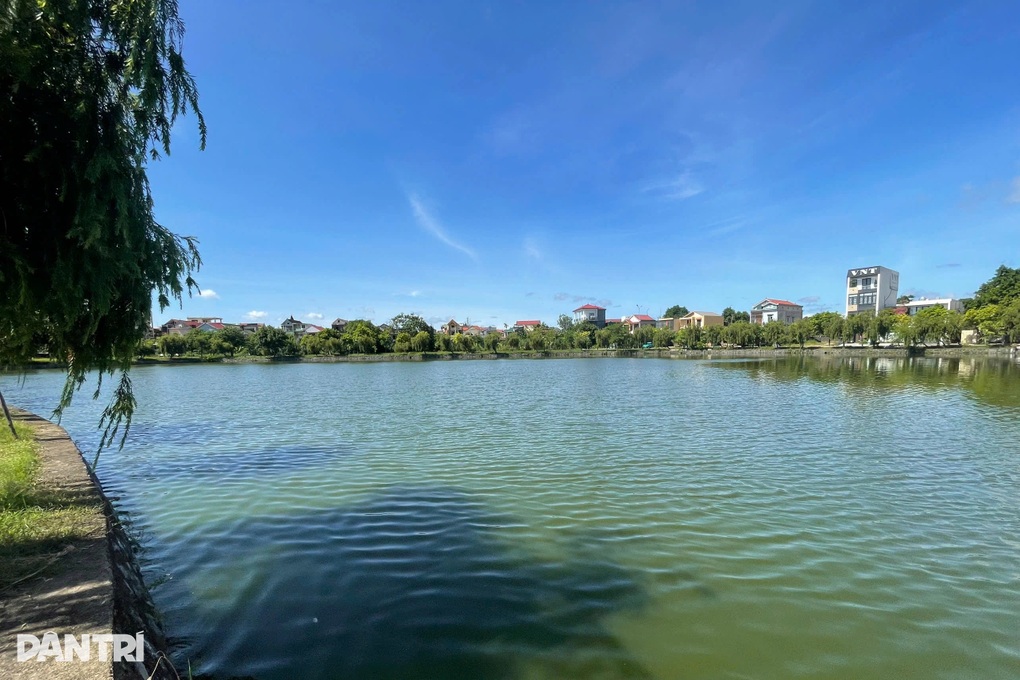 Cá chết bất thường, công nhân phải vớt 2 lần mỗi ngày để tránh ô nhiễm - 3 Cá chết bất thường, công nhân phải vớt 2 lần mỗi ngày để tránh ô nhiễm - 3