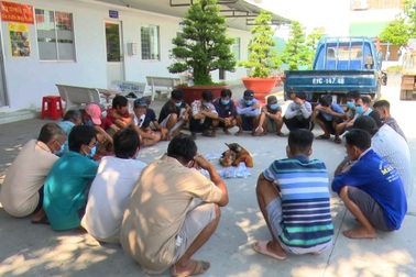 Xóa tụ điểm đá gà ăn tiền do 8X tổ chức, bắt giữ 26 đối tượng