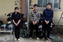 Bắt khẩn cấp nữ tiểu thương cùng 2 kẻ trộm chó ở TPHCM