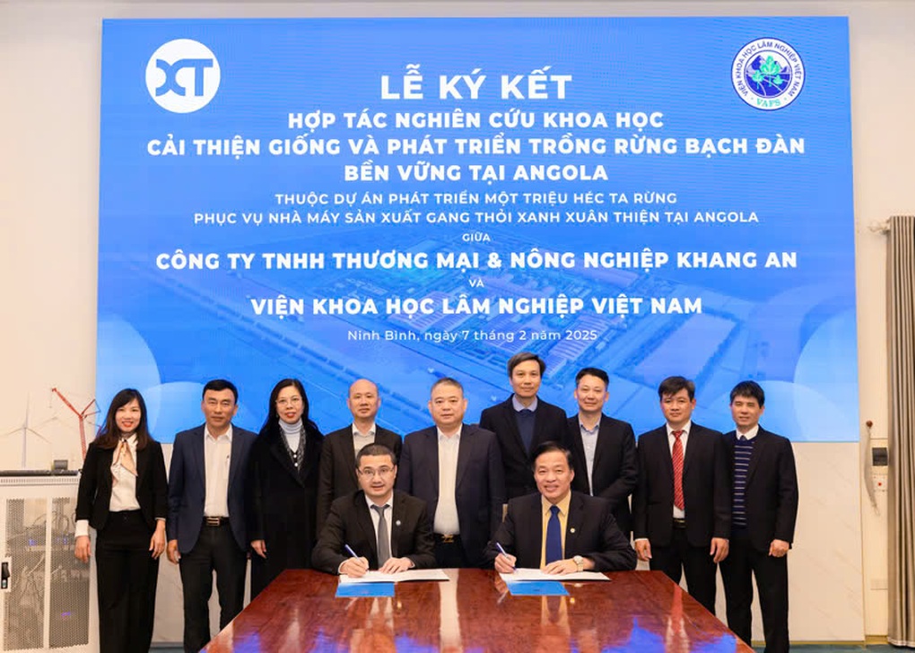 Tập đoàn Xuân Thiện hợp tác trồng 1 triệu ha rừng tại Angola - 1 Tập đoàn Xuân Thiện hợp tác trồng 1 triệu ha rừng tại Angola - 1