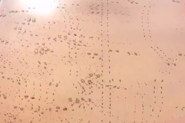 Những chiếc xe thay đổi màu sơn khi gặp nhiệt độ cao