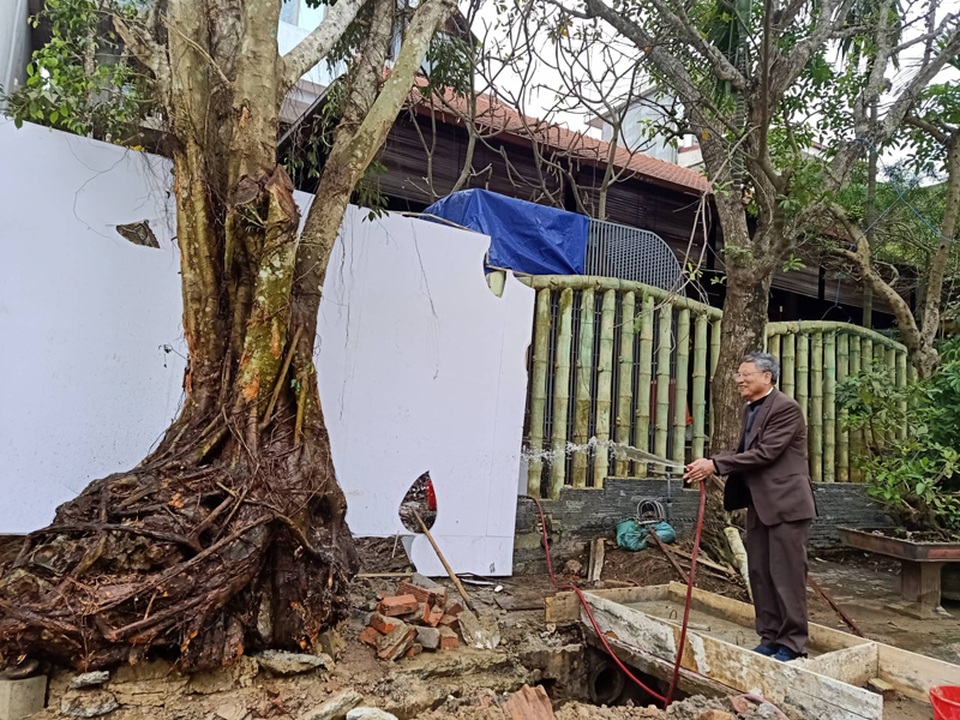 Chuỗi ngày không ngủ của ông chủ ngôi nhà gỗ 30 tỷ vừa tậu cặp cây khủng - 19 Chuỗi ngày không ngủ của ông chủ ngôi nhà gỗ 30 tỷ vừa tậu cặp cây khủng - 19