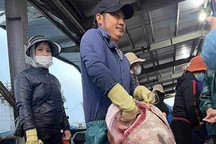 Con cá mú "30 năm mới thấy một lần" khiến ngư dân sửng sốt