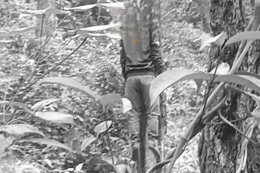 Vụ con rể vừa ra tù gây thảm án: Nghi phạm treo cổ trong rừng