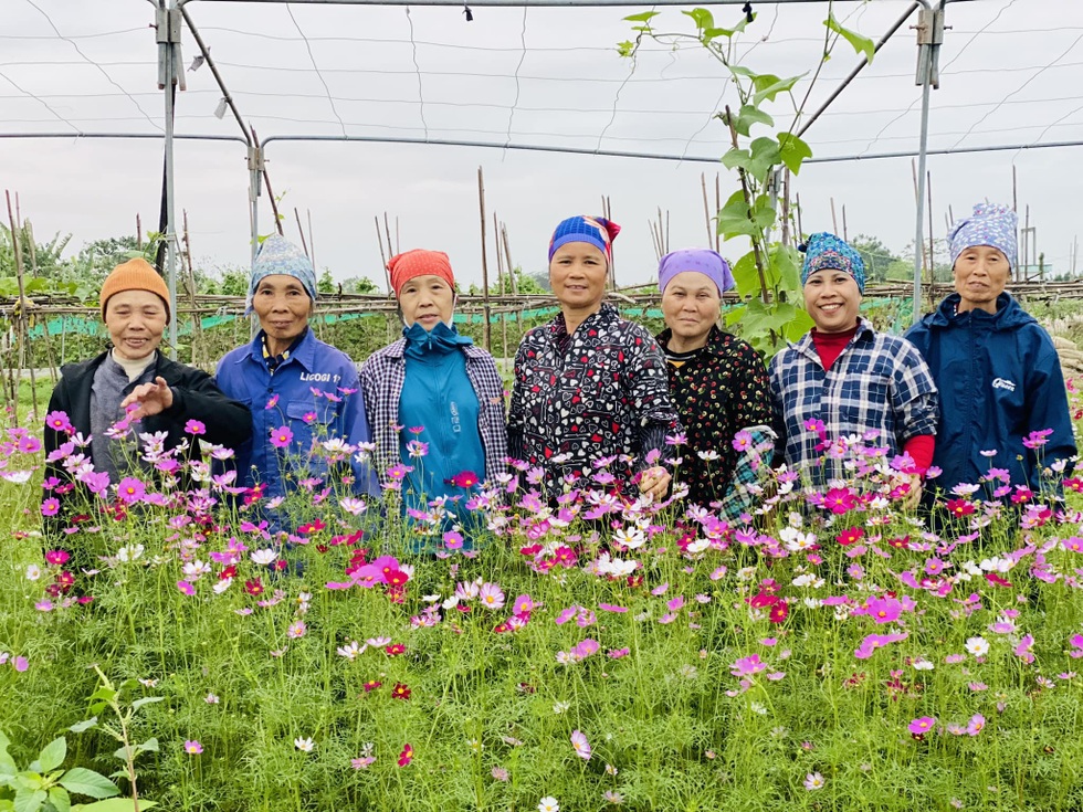 Vợ chồng tiến sỹ về quê làm nông dân, bán 5 tấn nông sản/tháng - 16