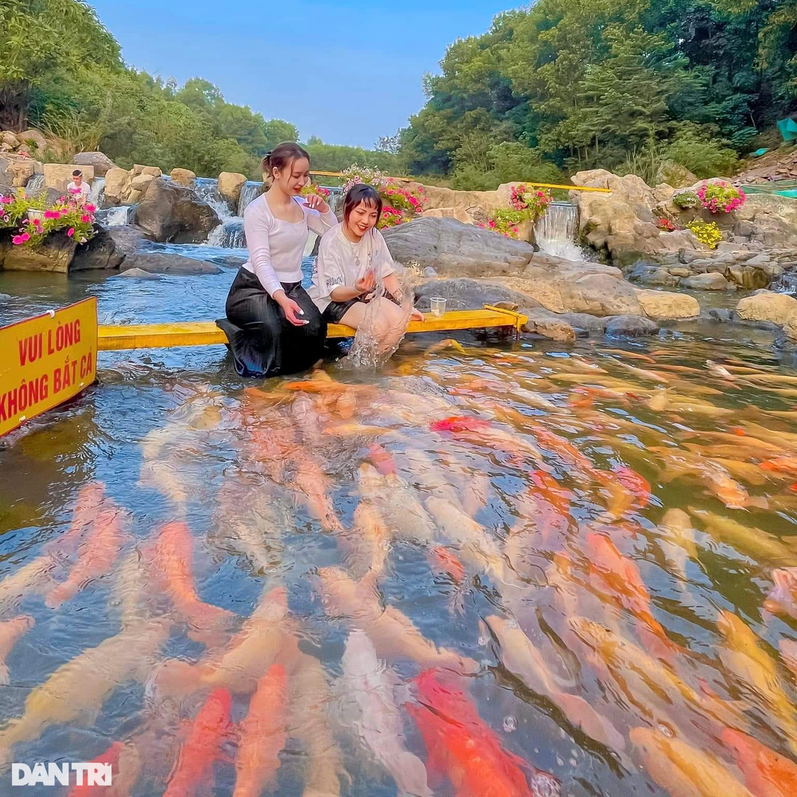 Chiêm ngưỡng dòng suối cá vàng độc đáo ở miền Tây xứ Nghệ - 10 Chiêm ngưỡng dòng suối cá vàng độc đáo ở miền Tây xứ Nghệ - 10