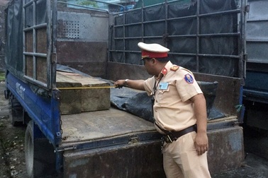 Tóm gọn 2 xe vận chuyển gỗ lậu lúc rạng sáng