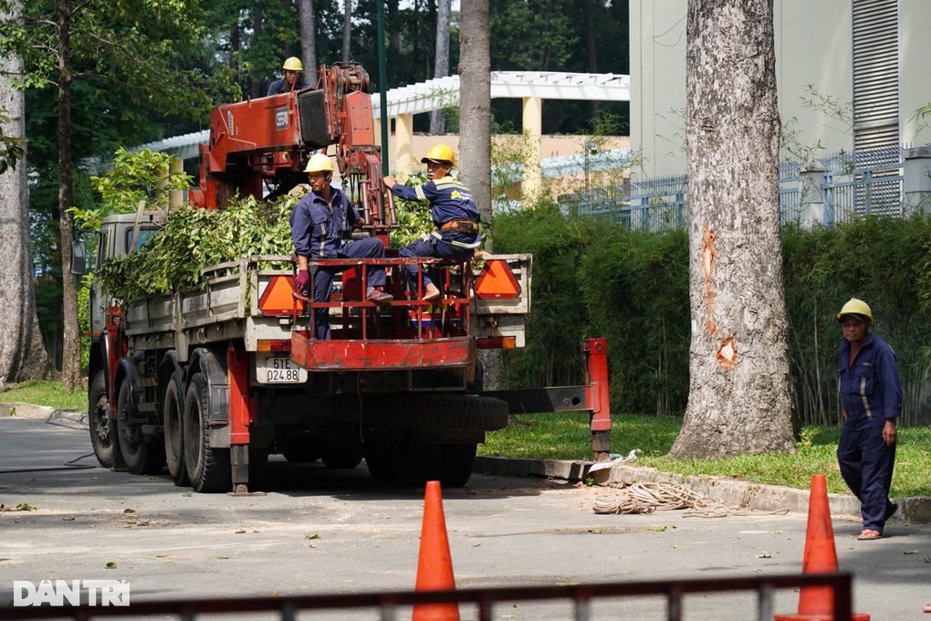 Nạn nhân bị nhánh cây đè ở Công viên Tao Đàn có được bồi thường? - 1 Nạn nhân bị nhánh cây đè ở Công viên Tao Đàn có được bồi thường? - 1