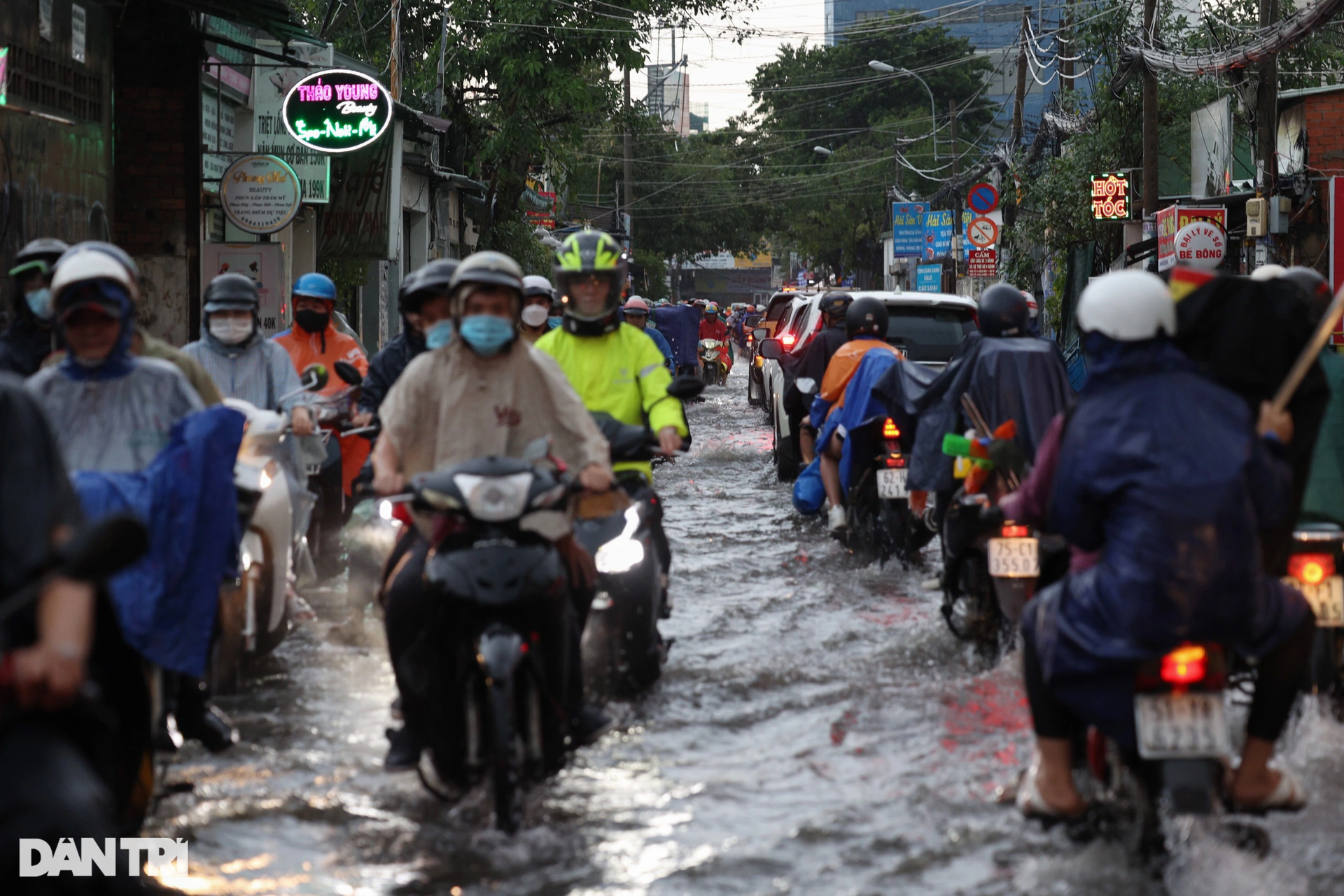 Cây gẫy đổ, đường ngập sâu trong mưa lớn ở TPHCM - 6 Cây gẫy đổ, đường ngập sâu trong mưa lớn ở TPHCM - 6