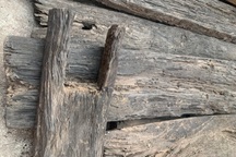 Bãi cọc gỗ bí ẩn ở Bắc Giang: Có thể vẫn còn một lượng gỗ lớn dưới lòng đất