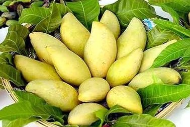 Thực phẩm vào Việt Nam: Nhập dễ, xuất khó