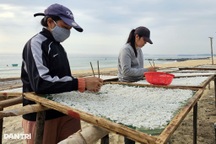 Nghề lạ ven biển giúp nhiều phụ nữ kiếm tiền triệu từ đôi đũa tre