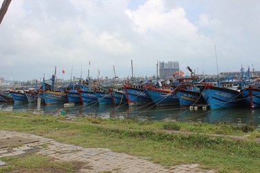 Hỗ trợ đến 5 triệu đồng các tàu cá thiệt hại do bão