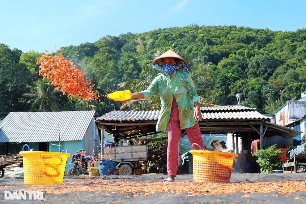 Cụ bà 70 nuôi cả nhà, cả họ nhờ nghề làm tôm khô truyền thống - 4 Cụ bà 70 nuôi cả nhà, cả họ nhờ nghề làm tôm khô truyền thống - 4