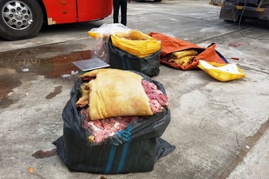 Bắt hơn 250 kg thịt "phù phép" thành thịt lợn rừng