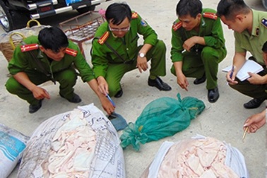 Bắt xe khách vận chuyển rắn, ba ba, bì lợn ôi thiu 