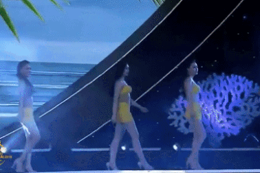 Cục Nghệ thuật Biểu diễn: Rà soát, xử lý nghiêm các vi phạm từ thi hoa hậu