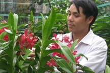 Kiếm lãi 100 triệu mỗi tháng nhờ trồng phong lan