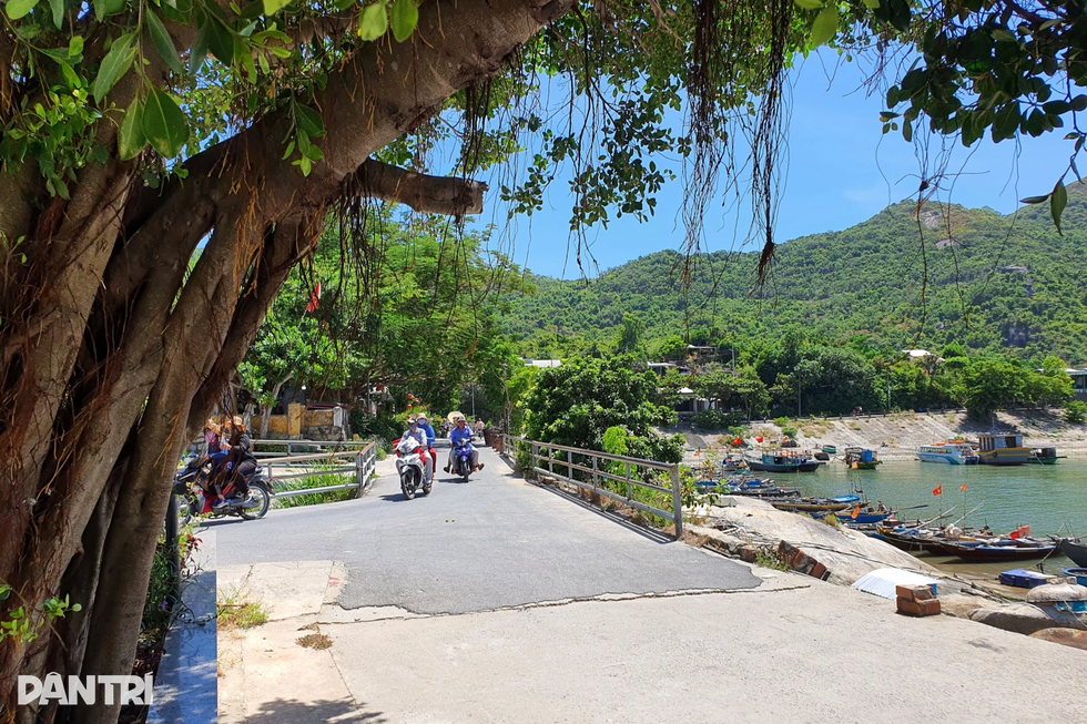 Khu dự trữ sinh quyển thế giới Cù Lao Chàm - Hội An - 2