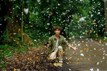 Mãn nhãn khung cảnh bướm bay rợp trời đẹp như tranh ở Ninh Bình