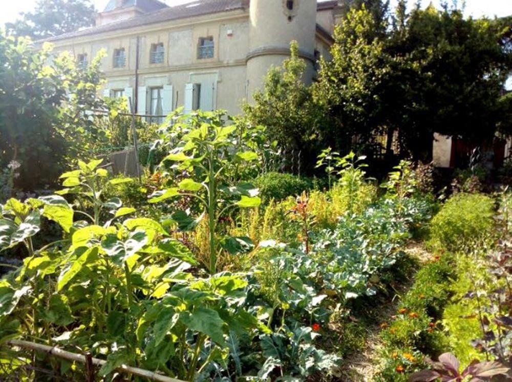 Cuộc sống gần gũi thiên nhiên trong khu vườn 2500m2 của cô gái 23 tuổi - 2 Cuộc sống gần gũi thiên nhiên trong khu vườn 2500m2 của cô gái 23 tuổi - 2