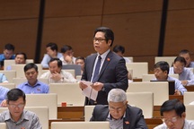 Phê duyệt CPTPP: "Khoảng cách với thế giới còn quá lớn, cạnh tranh sẽ rất khắc nghiệt"