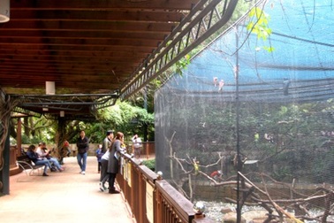 Khám phá công viên Cửu Long ở Hồng Kông