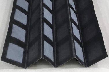 Pin sinh học lấy năng lượng từ vi khuẩn trong nước thải