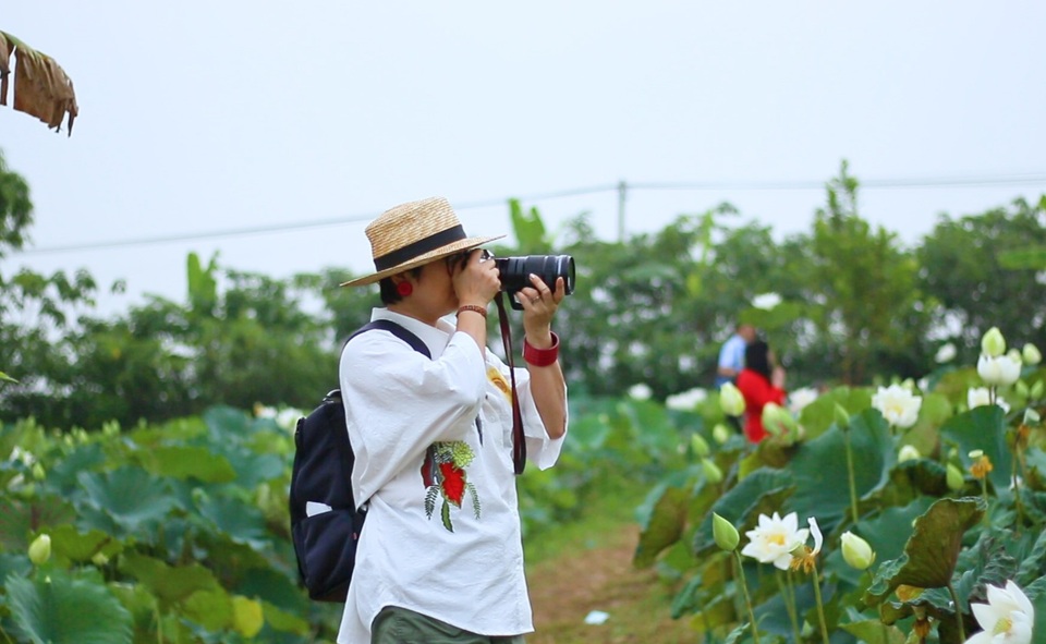 Du khách ngỡ ngàng trước vẻ đẹp của đầm sen trắng độc nhất ở Hà Nội - 4 Du khách ngỡ ngàng trước vẻ đẹp của đầm sen trắng độc nhất ở Hà Nội - 4