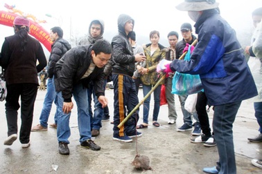 Sản vật núi rừng bị “tận diệt” tại hội xuân Yên Tử