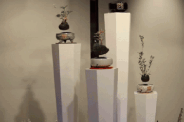 Ngỡ ngàng trước "vườn cây cảnh biết bay" của người Nhật