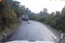 Nổi bật tuần qua: Tài xế container lĩnh hậu quả vì vượt ẩu trên đường đèo