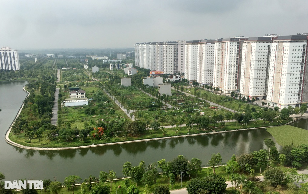 Người mua đất khu đô thị Thanh Hà Cienco 5 bị treo xây dựng - 1 Người mua đất khu đô thị Thanh Hà Cienco 5 bị treo xây dựng - 1