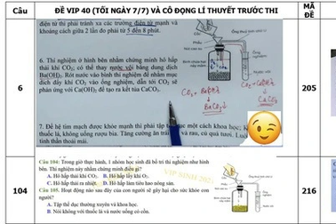 Chốt ngày xét xử vụ lộ đề thi tốt nghiệp THPT 2021
