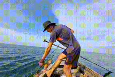 Trải nghiệm cùng ngư dân bẫy mực lá trên biển