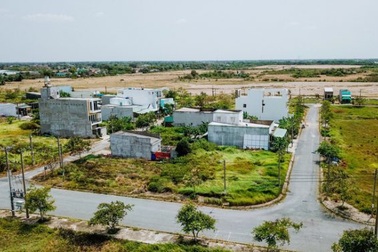 Hùn chung 200 triệu đồng mua đất, liên tiếp lãi đậm, tiền tỷ sẵn tay