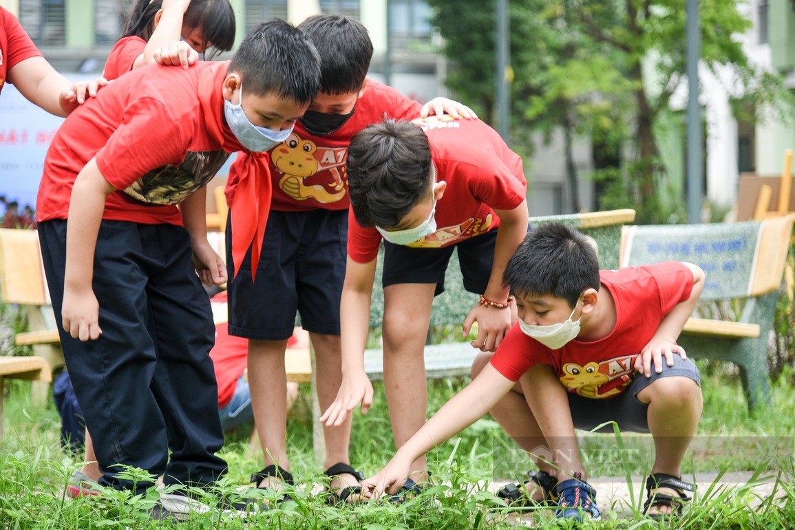 Những công viên xanh trong lòng thành phố - 2 Những công viên xanh trong lòng thành phố - 2