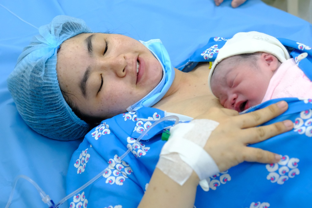 Những em bé mèo con chào đời đúng khoảnh khắc giao thừa - 11 Những em bé mèo con chào đời đúng khoảnh khắc giao thừa - 11
