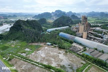 Vì sao chuyển đổi 38ha rừng phòng hộ tự nhiên để sản xuất xi măng?