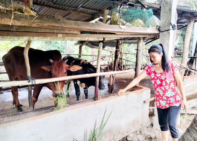 Đề án phát triển đa dạng sinh kế góp phần thoát nghèo bền vững trên địa bàn tỉnh Bến Tre - Ảnh 1. Đề án phát triển đa dạng sinh kế góp phần thoát nghèo bền vững trên địa bàn tỉnh Bến Tre - Ảnh 1.