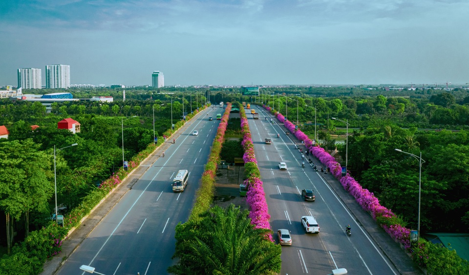 Phát sốt” với con đường hoa giấy đẹp quên lối về ngay gần Hà Nội - 13 Phát sốt” với con đường hoa giấy đẹp quên lối về ngay gần Hà Nội - 13