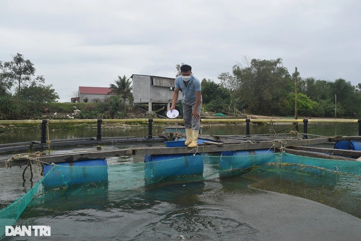 Rời Nhật Bản về quê, chàng trai tạo sự khác biệt trong nghề nuôi cá lồng - 4 Rời Nhật Bản về quê, chàng trai tạo sự khác biệt trong nghề nuôi cá lồng - 4